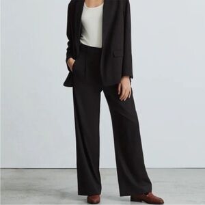 Everlane The Way High Drape Pants Short Black